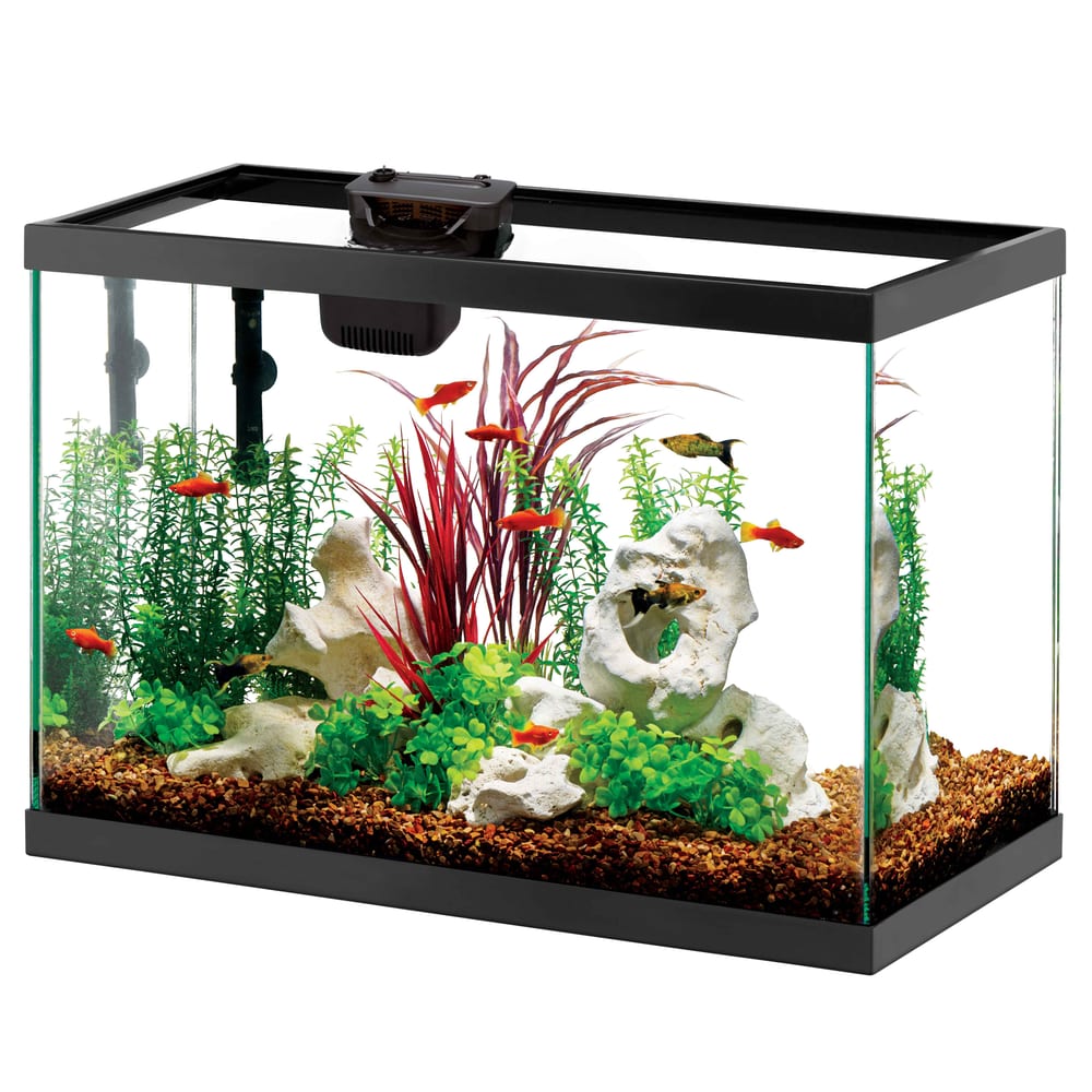 Aqueon LED 20 gallon 75 litre glass aquarium starter kit with SmartClean filter