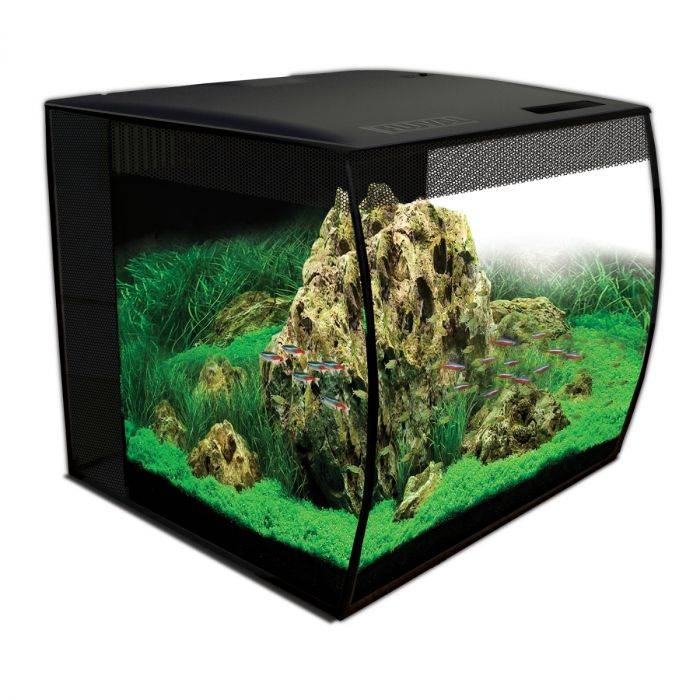 Fluval Flex 15 gallon curved-front 57 litre aquarium with RGBW LED lighting