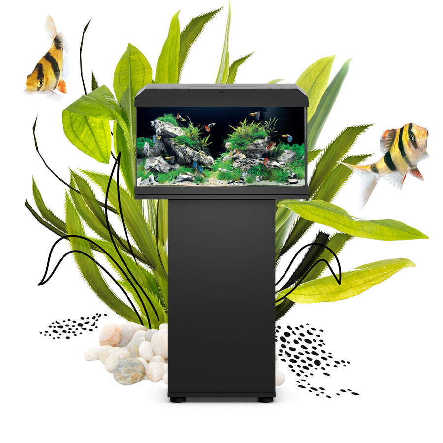 Juwel Primo 70 LED aquarium in black with hood and integrated filtration