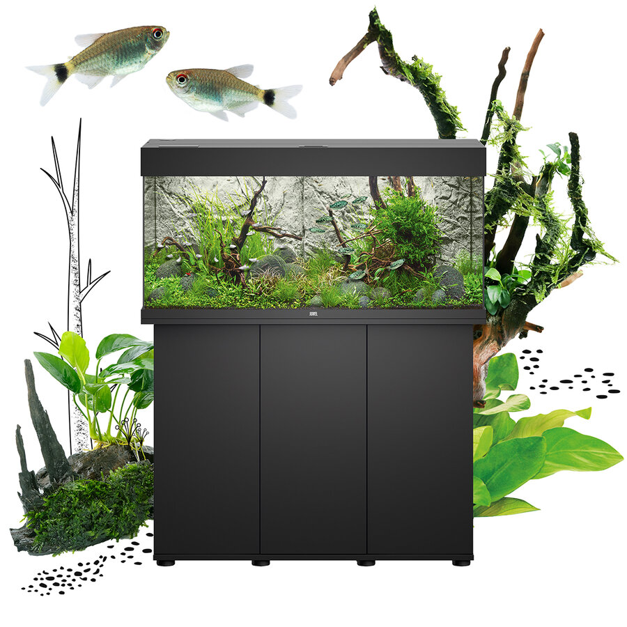 Juwel Rio 180 LED aquarium in black on matching cabinet with planted aquascape