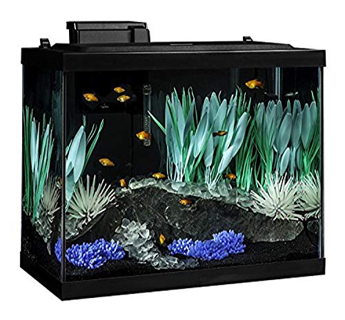 Tetra ColorFusion 20 gallon 75 litre aquarium kit with colour-changing LED and Whisper filter